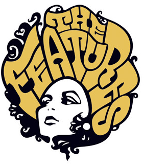 Google Analytics Premium Features